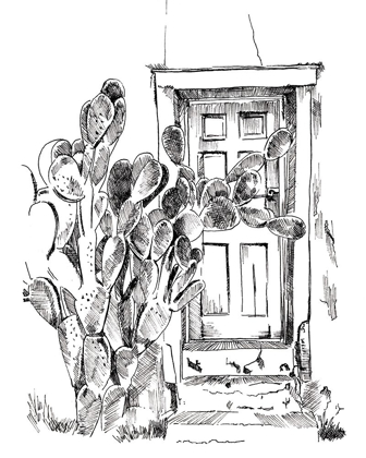 Picture of CACTUS DOOR V