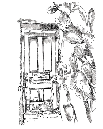 Picture of CACTUS DOOR VI