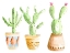 Picture of PATTERNED POTS I