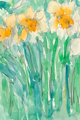 Picture of DAFFODILS STEMS I