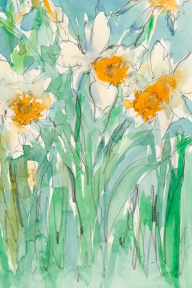 Picture of DAFFODILS STEMS II