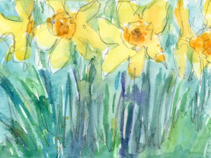 Picture of DAFFODIL BLOOMS I