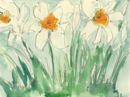 Picture of DAFFODILS ORANGE AND WHITE I