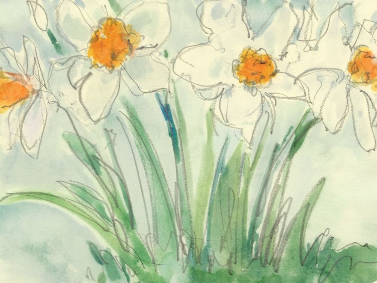 Picture of DAFFODILS ORANGE AND WHITE II