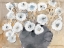 Picture of ANOTHER WHITE BLOSSOM I