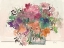 Picture of MIX FLOWERS II