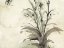 Picture of PLANT OF THE AGE I