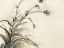 Picture of PLANT OF THE AGE II