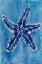 Picture of CERULEAN SHELLS III