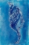 Picture of CERULEAN SHELLS IV