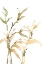 Picture of STEMS II