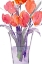 Picture of MY RED TULIPS II
