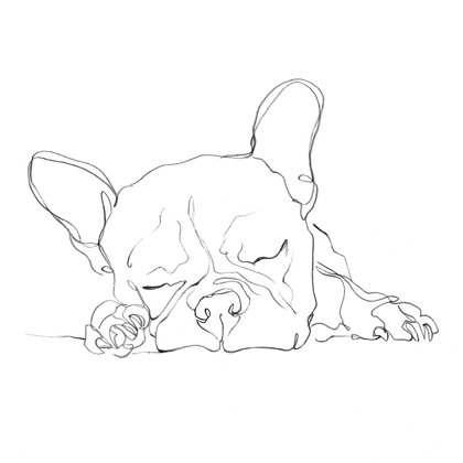 Picture of FRENCH BULLDOG CONTOUR I