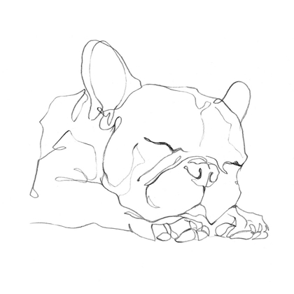 Picture of FRENCH BULLDOG CONTOUR II