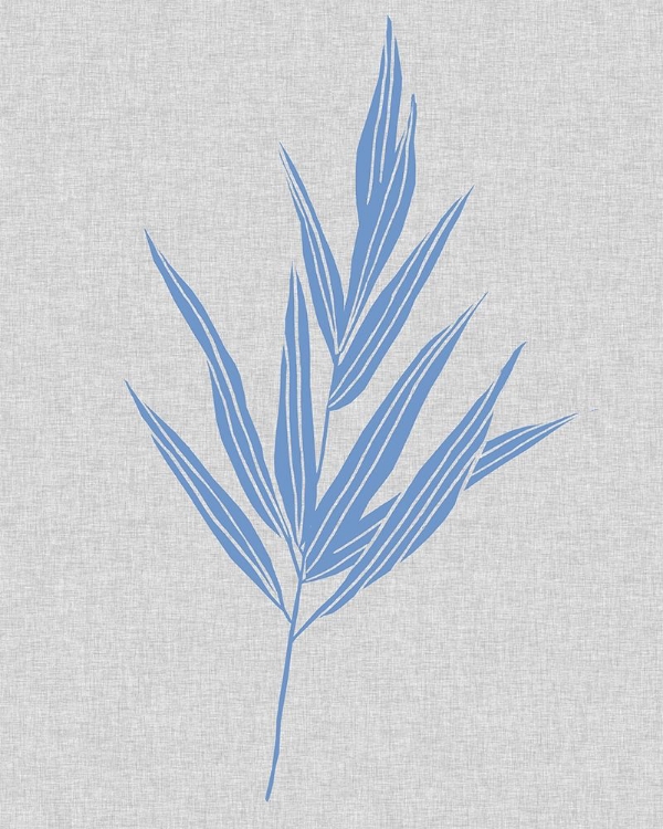 Picture of BLUE STEM II