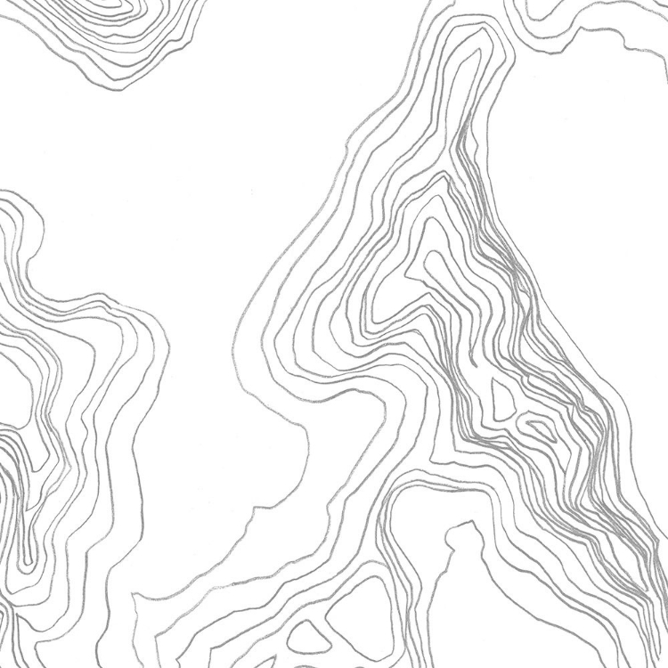 Picture of TOPOGRAPHY CONTOUR IV