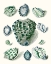 Picture of CELADON SHELLS III