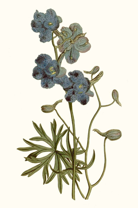 Picture of SOFT BLUE BOTANICALS V