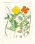 Picture of BRIGHT BOTANICALS VII