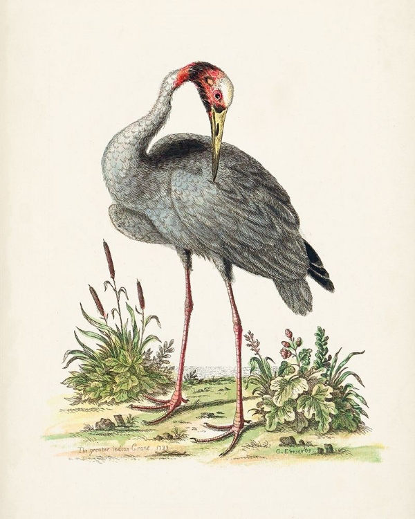 Picture of ANTIQUE HERON AND CRANES I