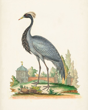 Picture of ANTIQUE HERON AND CRANES II