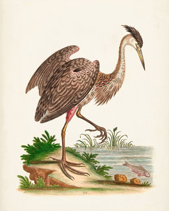 Picture of ANTIQUE HERON AND CRANES III