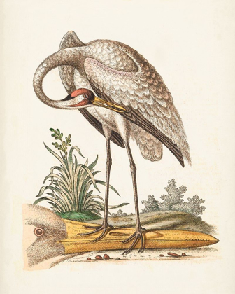 Picture of ANTIQUE HERON AND CRANES IV