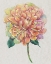 Picture of MULTICOLOR FLORAL I