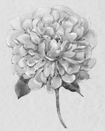 Picture of SILVERTONE FLORAL I