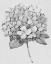 Picture of SILVERTONE FLORAL II