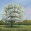 Picture of SPRING BLOSSOM TREE I