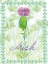 Picture of LUCKY SHAMROCK II
