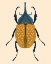 Picture of BEETLE BUG II