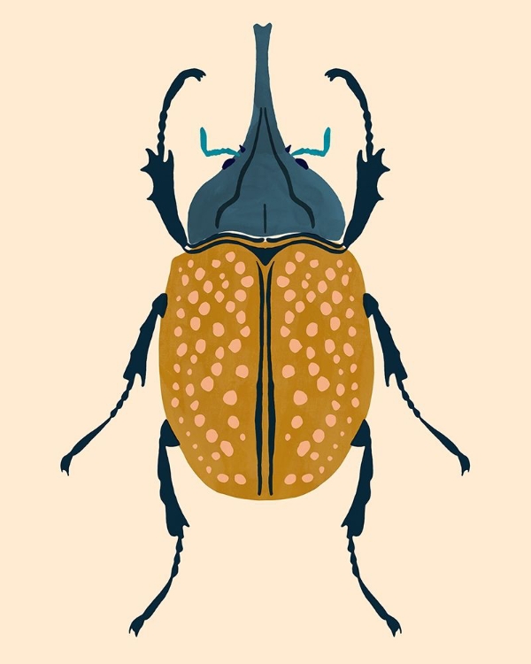 Picture of BEETLE BUG II