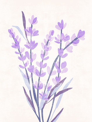 Picture of LAVENDER LAND I