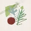 Picture of GRASSLAND IV
