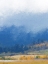 Picture of MOUNTAIN MIST I