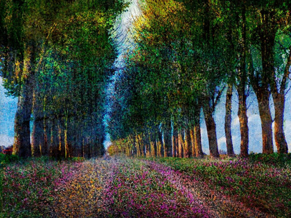 Picture of ROW OF TREES PROVENCE
