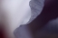 Picture of HAUNTING I