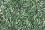 Picture of NATURES TEXTURES II