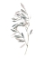 Picture of GENTLE BREEZE I