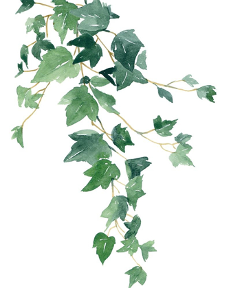 Picture of BRANCH STUDY I