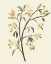 Picture of BLEST BRANCH II