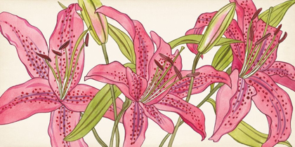 Picture of PINK LILIES II