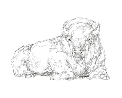 Picture of BISON CONTOUR SKETCH I