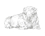 Picture of BISON CONTOUR SKETCH I