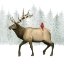 Picture of FESTIVE FOREST I