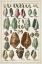 Picture of GRAND SEBA SHELLS I