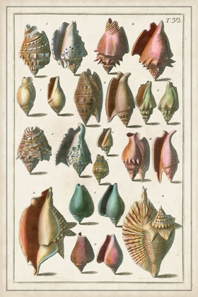 Picture of GRAND SEBA SHELLS III