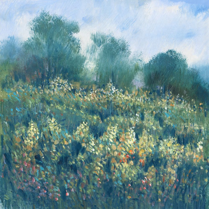 Picture of MEADOW WILDFLOWERS I